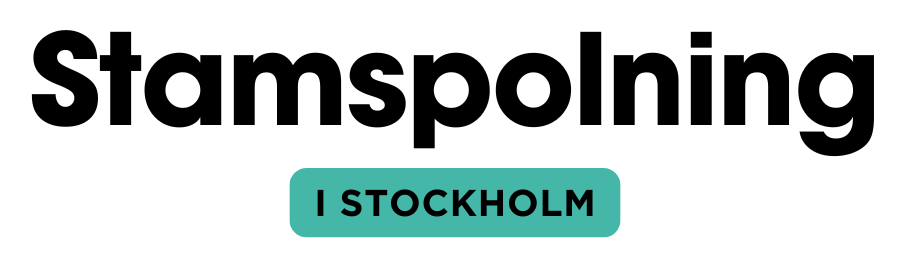 https://stamspolningistockholm.com/wp-content/uploads/2025/01/cropped-Stamspolningistockholm.png